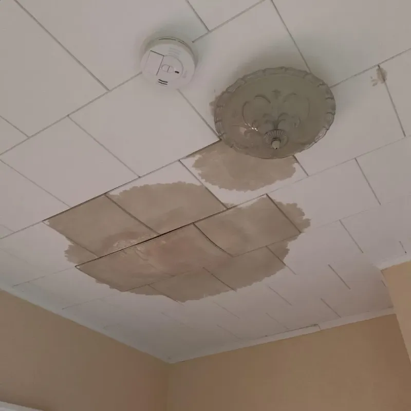 Ceiling Water Damage Repair in Morton County, ND