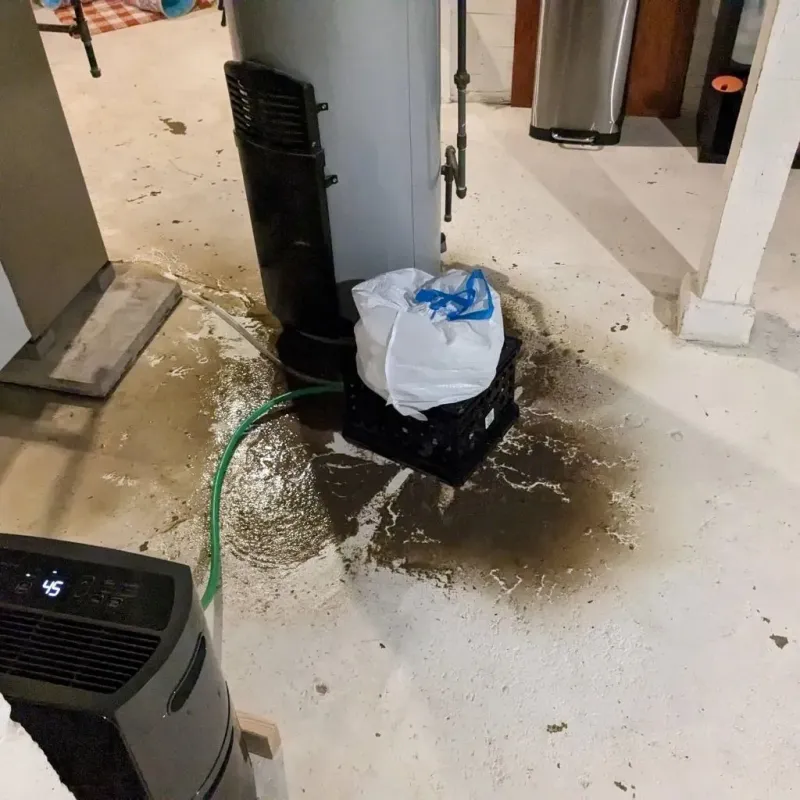 Sewage Backup Cleanup Service in Morton County, ND